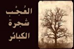 مَنْ تَرَكَ الْعُجْبَ وَالتَّوانِيَ لَمْ يَنْزِلْ بِهِ مَكْرُوهٌ