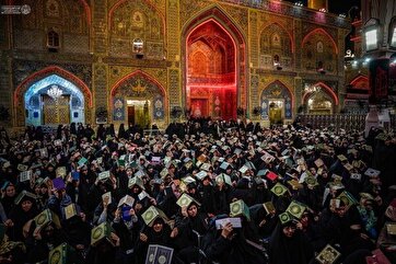 Həzrət Əlinin (ə) hərəmi və Həzrət Əbdül-Əzim Həsəninin hərəmində üçüncü Qədr gecəsi