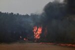 Təl-Əviv və Qüds arasındakı avtomobil yolu yanğın səbəbindən bağlanıb