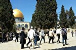 Al-Quds-Kommission gegen Judaisierung: Verschwörung Israels, Al-Aqsa Moschee einzunehmen