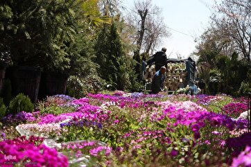Shiraz Flower Market Ahead of Nowruz