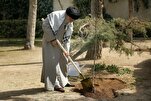 Ayatollah Khamenei Calls for Public Participation in Tree Planting to Protect Environment