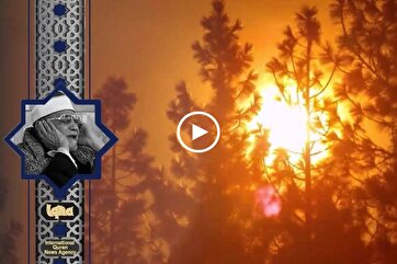Heavenly Recitations: Abul Ainain Shuaisha Recites Surah Shams