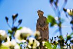Quranic Teachings at Heart of Saadi’s Enduring Poetry, Expert Says
