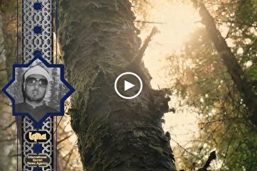 Heavenly Recitations: Surah Al-Waqi'ah by Mohammed Imran