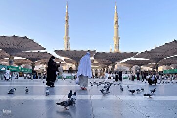 Photos: Pilgrims Visit Prophet’s Mosque Ahead of 2025 Hajj