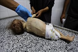 Gaza Hunger Crisis at Unprecedented Level: WFP