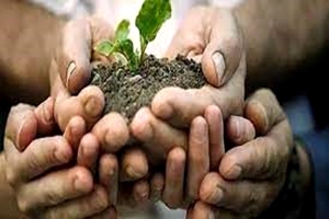 امور خیریه و وقف در جهان