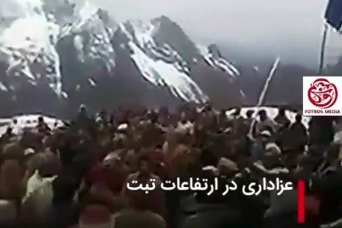 فیلم/ عزاداری «بوداییان تبت» از زبان کارگردان نام آشنا