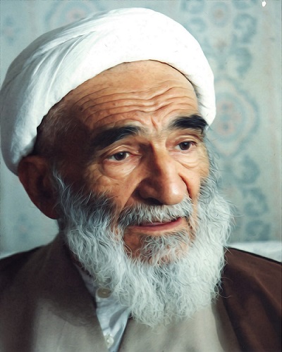 آیت‌الله صالحی نجف‌آبادی فرائتی عقلانی و اخلاقی از دین داشت
