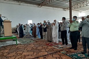 نماز عید فطر در هیرمند به روایت تصویر