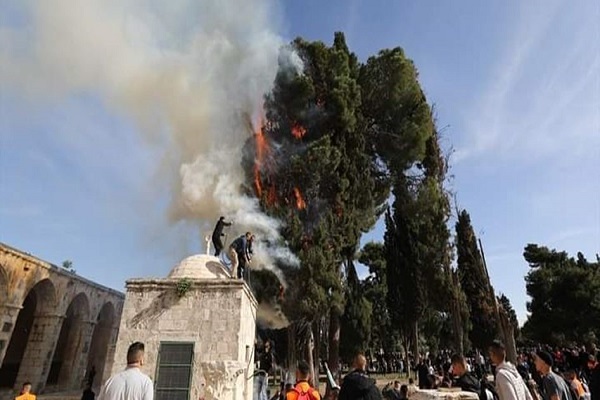 آتش‌سوزی در قبرستان باب‌الرحمه در مجاورت مسجدالاقصی