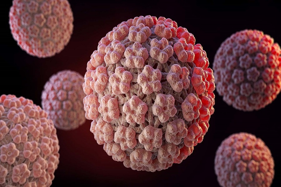 ویروس HPV یا پاپیلومای انسانی ویروس HPV یا پاپیلومای انسانی