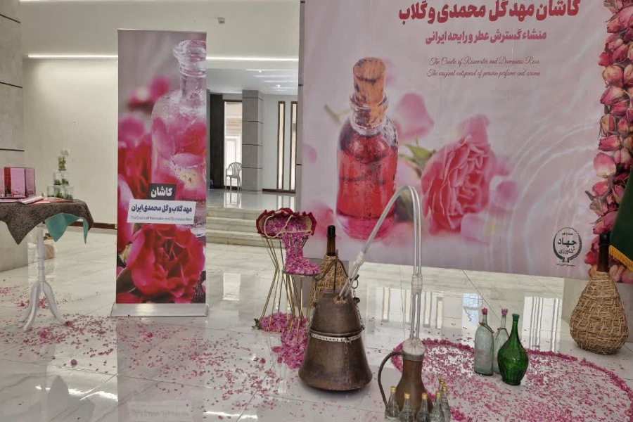 ویژه‌برنامه روز ملی «گل محمـدی و گـلاب» در کاشان