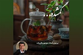 پادکست | طرفدارِ حقیقی