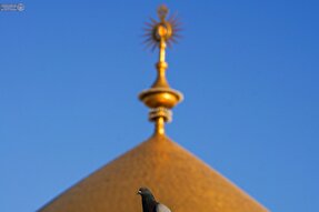 استوری‌موشن | لافتی الا علی