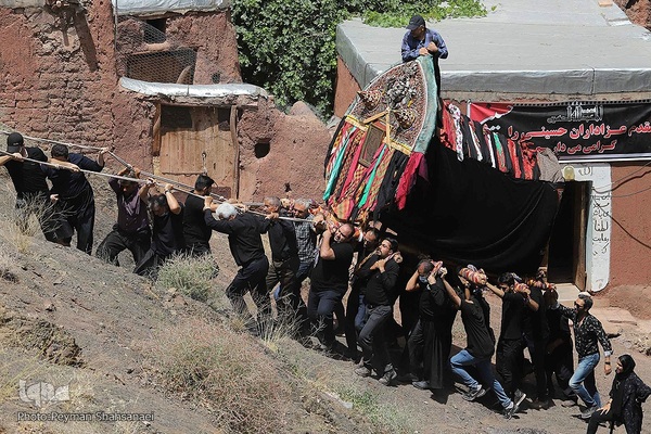 آیین سنتی «نخل‌گردانی» در روستای ابیانه نطنز