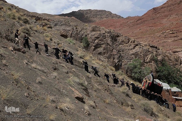 آیین سنتی «نخل‌گردانی» در روستای ابیانه نطنز