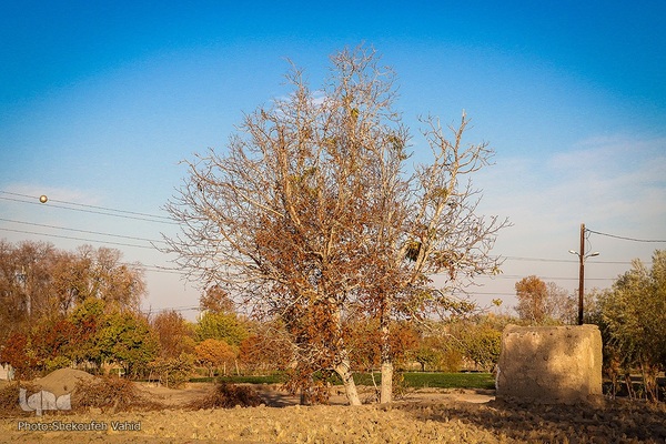 پاییز شگفت‌انگیز در اصفهان