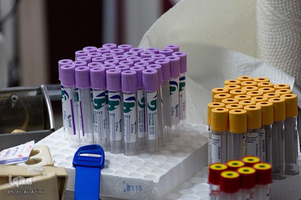 اهدای خون در روز اربعین