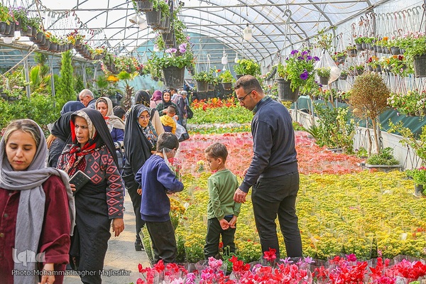 رونق بازار گل و گیاه در آستانه بهار