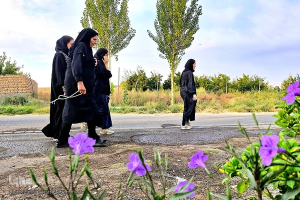 پیاده‌روی جاماندگان اربعین به سوی کربلای ایران