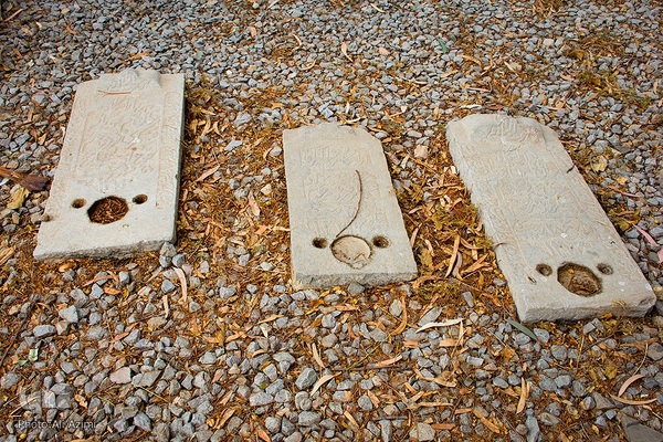 رمزگشایی از گذشته با واژگان؛ ماده‌تاریخ در سنگ‌نوشته‌های تخت فولاد