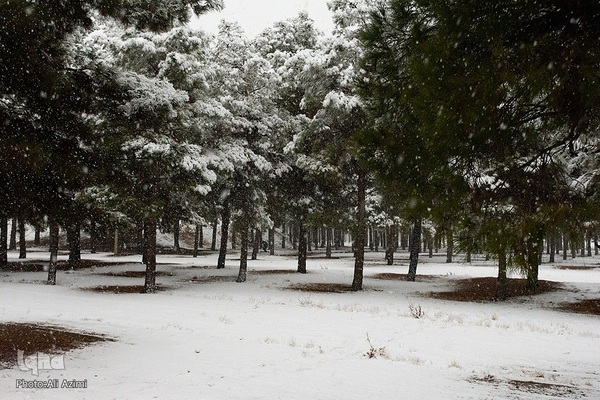 اصفهان در آغوش زمستان