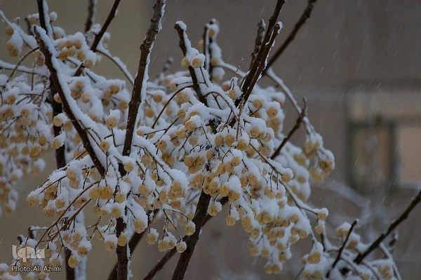 اصفهان در آغوش زمستان
