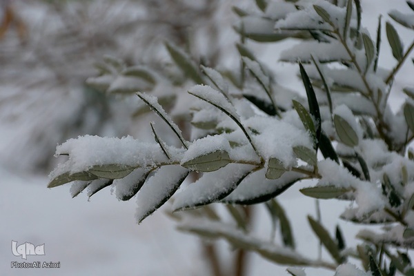 اصفهان در آغوش زمستان