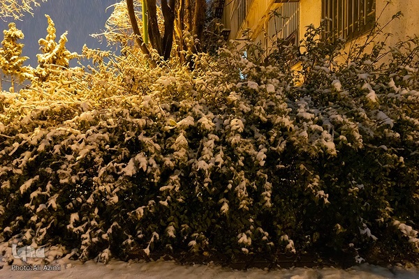 اصفهان در آغوش زمستان