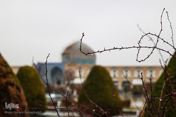 نصف جهان بارانی