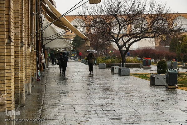 نصف جهان بارانی