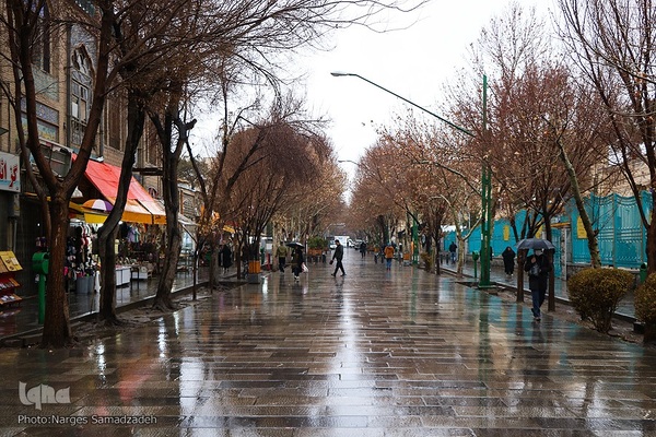 نصف جهان بارانی