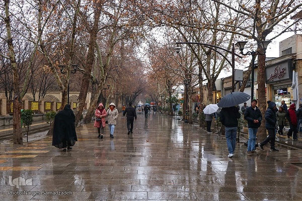 نصف جهان بارانی