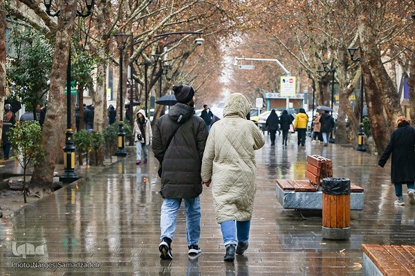 نصف جهان بارانی