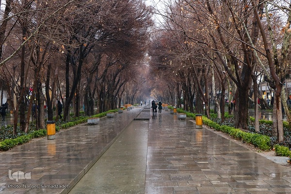 نصف جهان بارانی