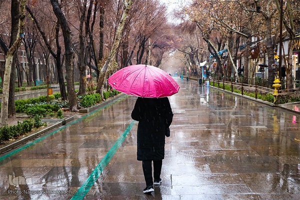 نصف جهان بارانی