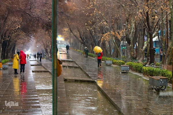 نصف جهان بارانی