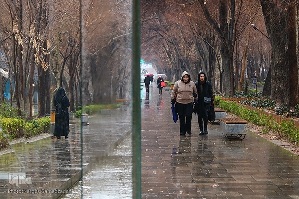 نصف جهان بارانی