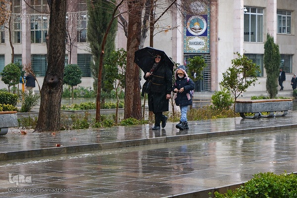 نصف جهان بارانی