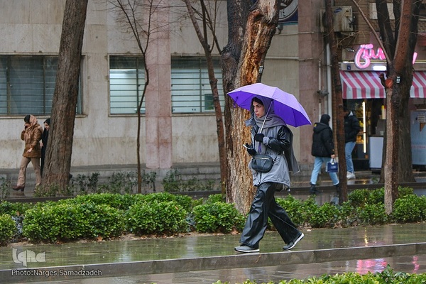 نصف جهان بارانی