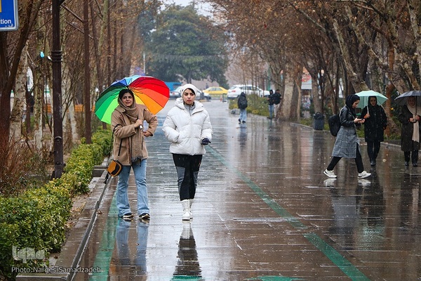 نصف جهان بارانی