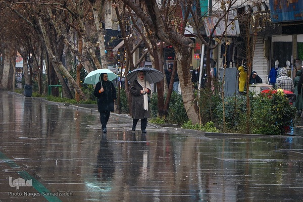 نصف جهان بارانی