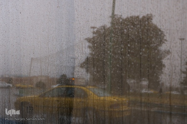 نصف جهان بارانی