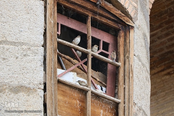 نصف جهان بارانی