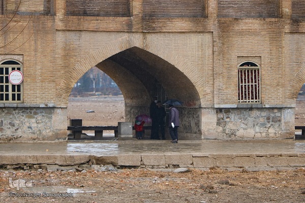 نصف جهان بارانی