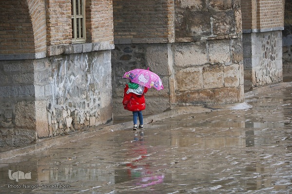 نصف جهان بارانی