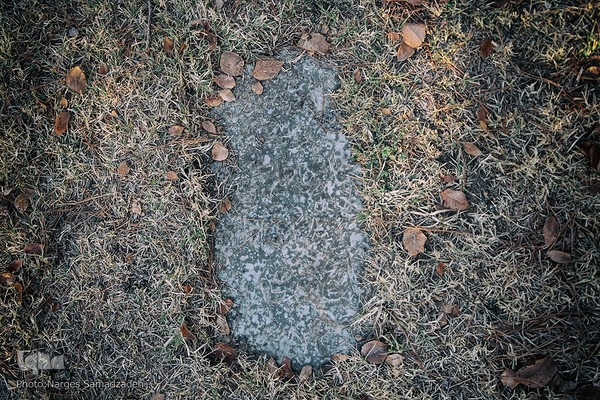 گرد فراموشی بر سنگ مزار‌های تخت فولاد