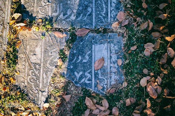 گرد فراموشی بر سنگ مزار‌های تخت فولاد